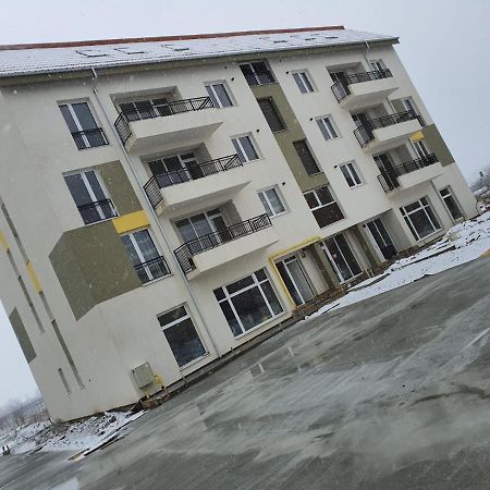 Luxury Apartment Satu Mare Bagian luar foto