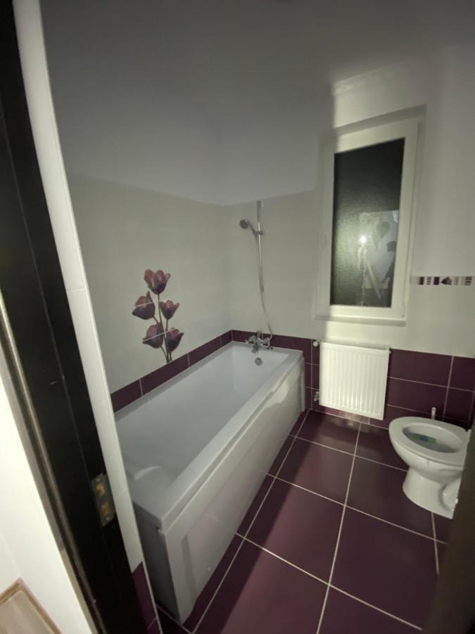 Luxury Apartment Satu Mare Bagian luar foto