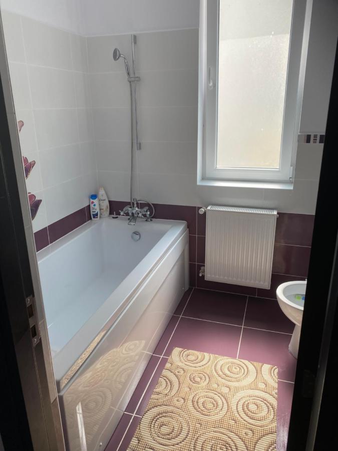 Luxury Apartment Satu Mare Bagian luar foto