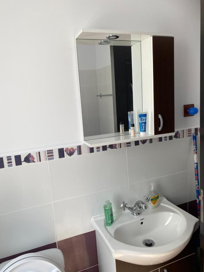 Luxury Apartment Satu Mare Bagian luar foto